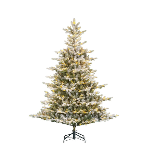 Grimshaw Weihnachtsbaum led gruen frosted warm weiss 370L TIPS 2326 und Timer & Dimmer - h215xd152cm