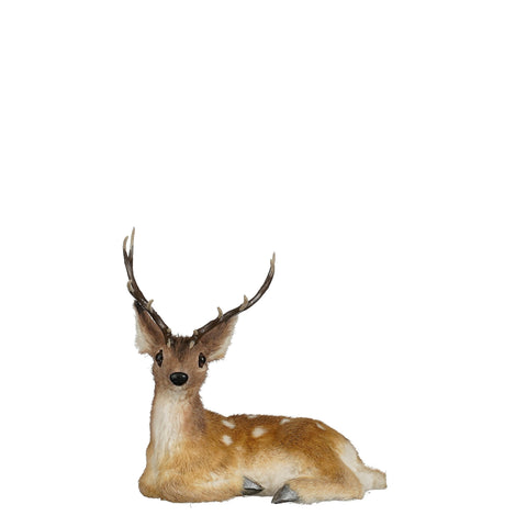 Dekoration Hirsch braun - l23xb15xh23cm