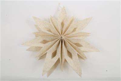 Stern Filz L – Lifestyle Home & Garden