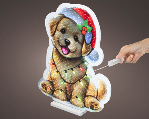 LED Infinity Hund groß bunt 1.3x47x57cm