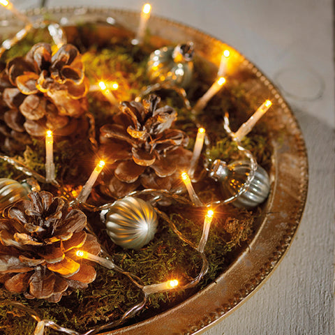 Eine goldene verzierte schale mit moos und kiefernzapfen dekoriert mit warmweißer led-lichterkette basic 24 led batteriebetrieben