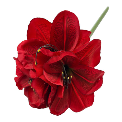 Blume Amaryllis 20x20x55 cm rot – Lifestyle Home & Garden