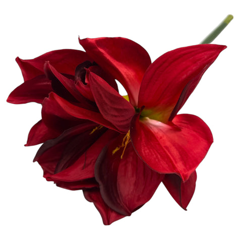 Blume Amaryllis 23x23x71 cm rot – Lifestyle Home & Garden
