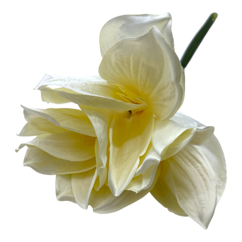 Blume Amaryllis 23x23x71 cm Creme/Weiß