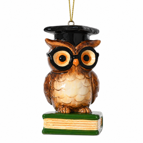 Braune eule terrakotta ornament mit schwarzer graduierungsmütze und brille auf grünem buch 5x5x9cm