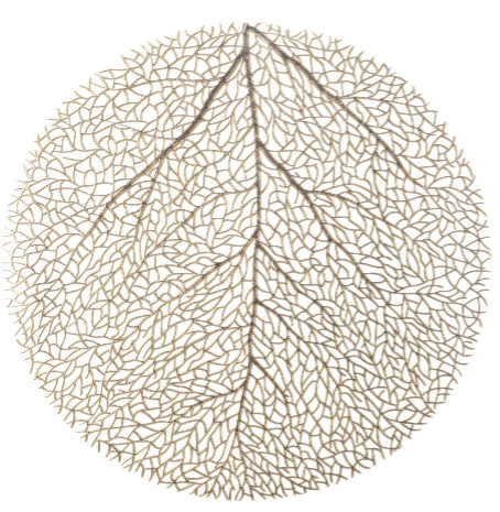 Tischset rund gold silber 38x0.01cm