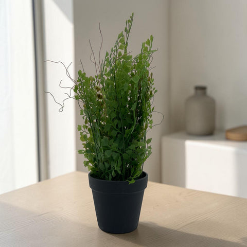 Ein üppiger grüner künstlicher adianthumfarn ca 40cm in einem eleganten schwarzen keramiktopf