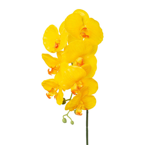 Phalaenopsis real touch gelb 76 cm künstliche orchidee mit lebendigen gelben blüten und dezenten orangefarbenen mittelpunkten