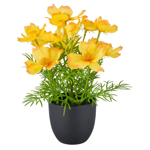 Eine lebendige gelbe künstliche cosmea-blumenarrangement in einem eleganten schwarzen keramiktopf