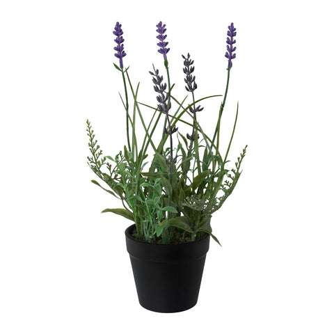 Lavendel im topf 25cm mit künstlichen lila blüten und grünem laub in schwarzem plastiktopf