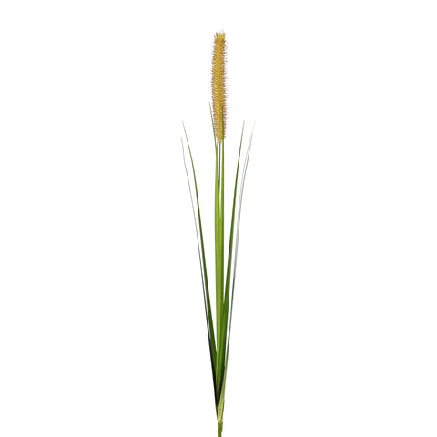 Lampenputzergras mit schlanken grünen Halmen und goldenem, fedrigem Samenkolben aus künstlichem Gras