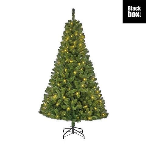 Charlton Weihnachtsbaum outdoor gruen warm weiss 470L TIPS 1239 und Timer & Dimmer - h240xd137cm