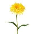 Ein lebhaftes gelbes künstlerisches dahlienprodukt spider gerbera gelb 43 cm mit geschichteten samtigen blütenblättern und schlankem grünen stiel