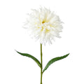 Ein zarter weißer künstlicher spider gerbera mit schichtweise angeordneten, fein gefiederten blütenblättern und schlankem grünem stiel
