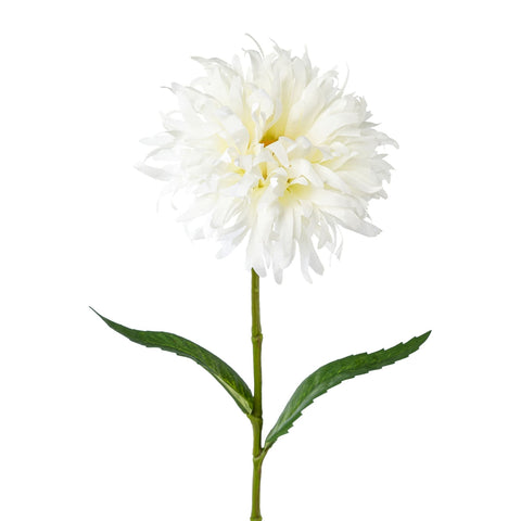 Ein zarter weißer künstlicher spider gerbera mit schichtweise angeordneten, fein gefiederten blütenblättern und schlankem grünem stiel