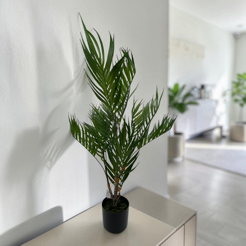 Eine goldfrucht palme 90cm mit üppigen grünen langen blättern in einem eleganten schwarzen topf