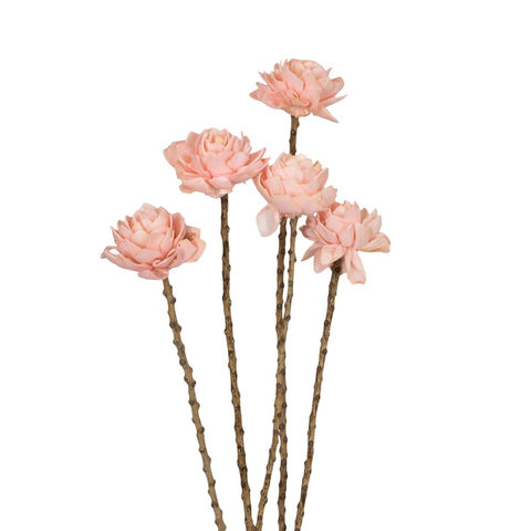 Ein set aus fünf zarten rosa papierblumen mit strukturierten braunen zweigstielen dahlienbund 66cm alt rosa