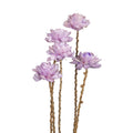 Eine zarte anordnung von fünf helllila papierblumen mit texturierten getrockneten stielen dahlienbund lila 66cm