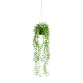 Nerifolia-hänger ca 70cm grün mit üppiger, hängender künstlicher pflanze und schlanken blättern im schwarzen topf