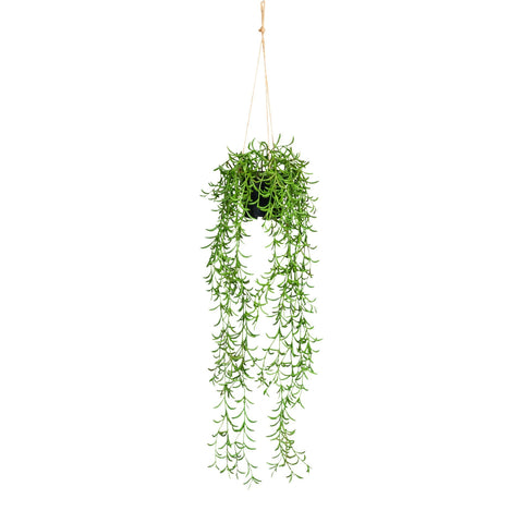 Nerifolia-hänger ca 70cm grün mit üppiger, hängender künstlicher pflanze und schlanken blättern im schwarzen topf
