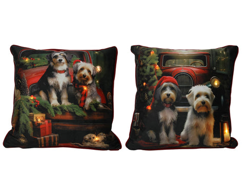 Küssen 40x40cm 6LED 'Dogs' 2 sort.