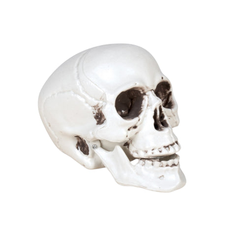 Totenkopf 8 cm Halloween Ptit Clown