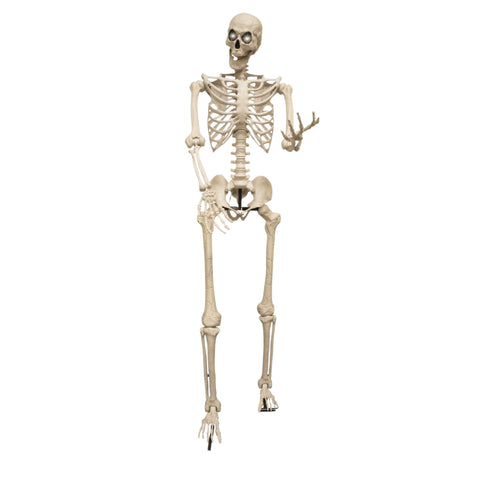XXL Outdoor-LED-Skelett 3.18 m Halloween Ptit Clown