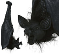 Halloween hängende Fledermaus 50 cm Halloween Fiestas Guirca