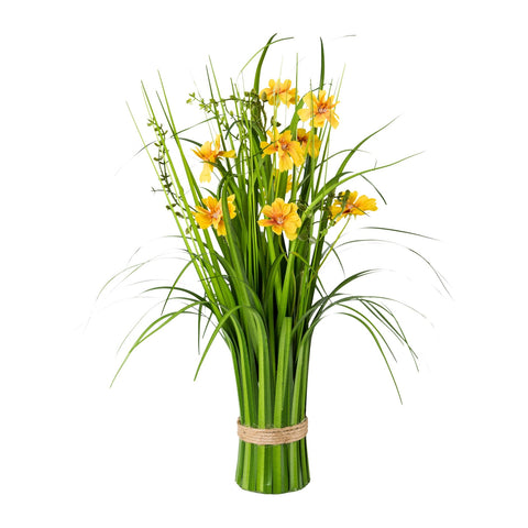 Grasbusch mit Cosmea