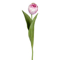 Eine zarte dunkelrosa tulpe mit weichen schichten von blütenblättern und lebendig grünen blättern an einem schlanken stiel 48cm