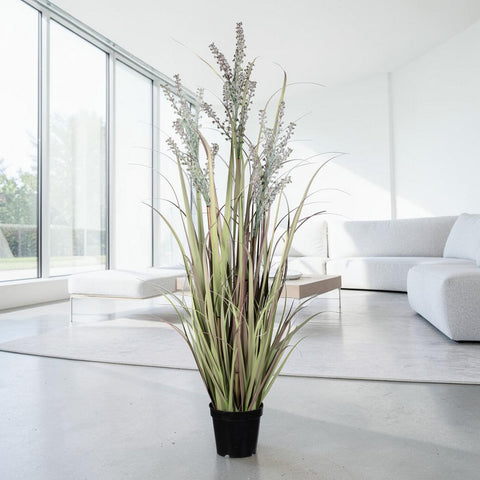 Ziergras im topf 98cm mit schlanken grün braunen blättern und silbergrauen blüten in schwarzem kunststofftopf