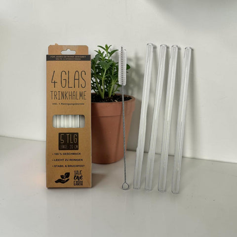 Set aus vier klaren glas trinkhalmen 20cm mit metallbürste verpackt in brauner box mit save the earth logo