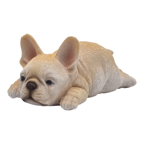 Welpe Französischebulldogge