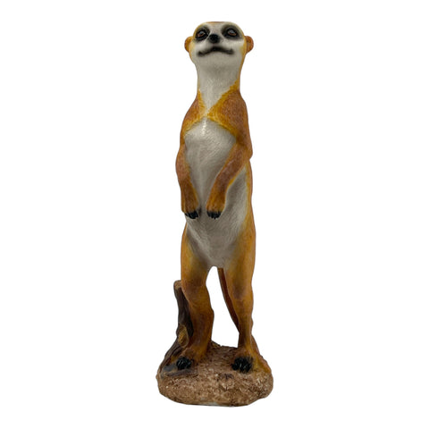 Erdmännchen