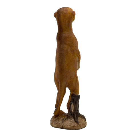 Erdmännchen