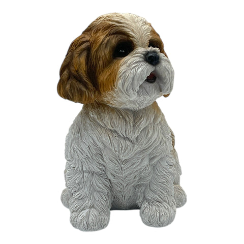 Shi Tzu Welpe sitzend