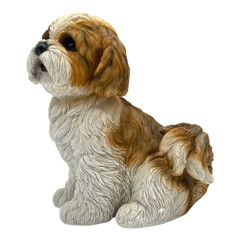 Shi Tzu Welpe sitzend