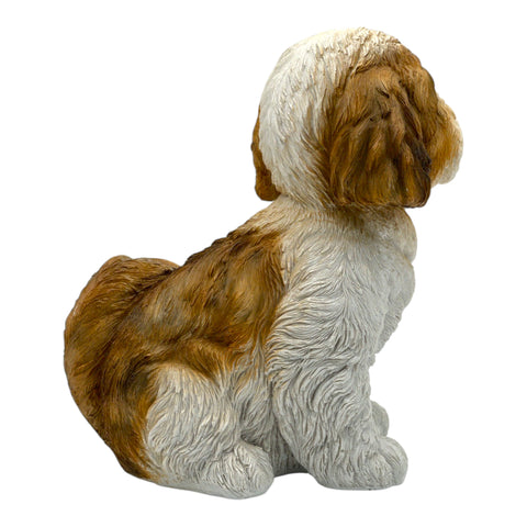 Shi Tzu Welpe sitzend