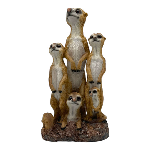 Erdmännchen Familie
