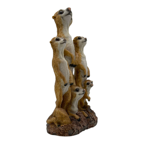 Erdmännchen Familie