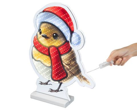 LED Infinity Vogel bunt 1.3x27x37cm