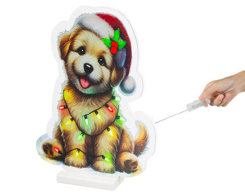 LED Infinity Hund klein bunt 1.3x26x36cm