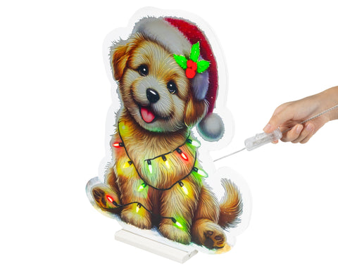 LED Infinity Hund groß bunt 1.3x47x57cm