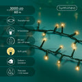 LED Lichterkette Compact 8 Leuchtmodi Outdoor grün 3000 softgoldene LED 6000cm