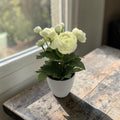Eine zarte künstliche ranunkel weiß blumenstrauß in einem eleganten weißen keramiktopf