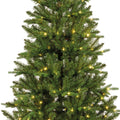 Bretton Tanne 180cm grün warmweiße LED 99x180cm