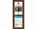 Grandis Baum im Topf 90cm Outdoor grün warmweiße LED 63x90cm