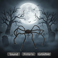 Spinne, schwarz, laufend, animiert, ca. 100cmD