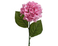 Eine lebendige rosa hortensie mit üppigen schichten von blütenblättern und glänzenden grünen blättern am schlanken stiel