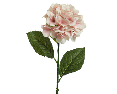 Zarte rosa hortensie polyester mit weichen schichten und lebendigen grünen blättern auf schlankem stiel